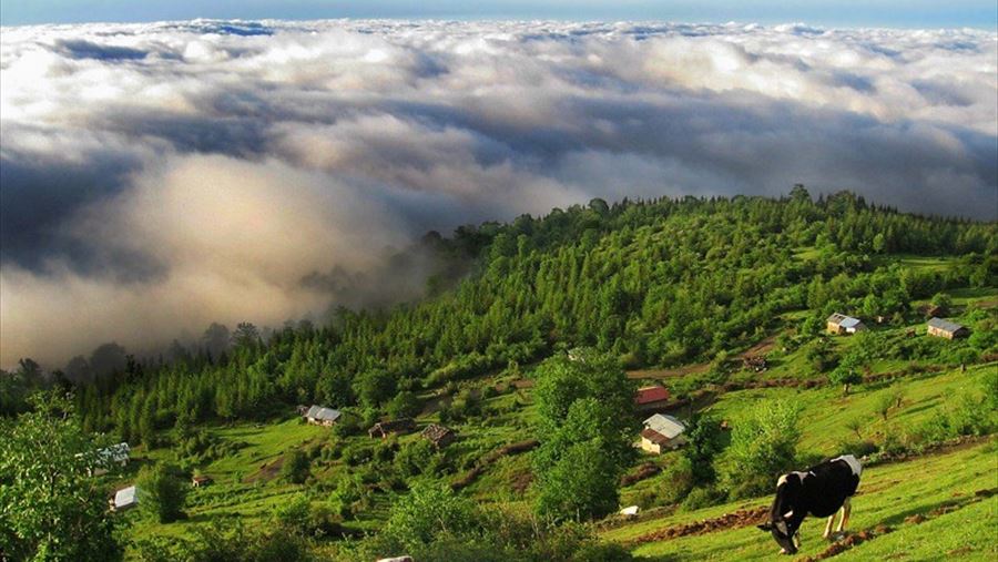 اگر واقعا فکر می‌کنید اهمیت محیط زیست کمتر از اقتصاد است، سعی کنید نفس‌تان را حبس کنید و پول‌های‌تان را بشمارید!